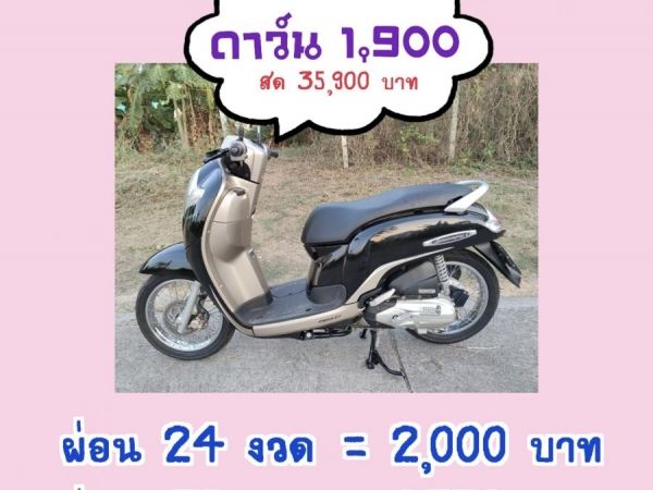 เก็บปลายทาง  Honda scoopy i สด-ผ่อน