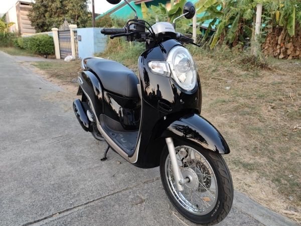 เก็บปลายทาง  Honda scoopy i สด-ผ่อน รูปที่ 3