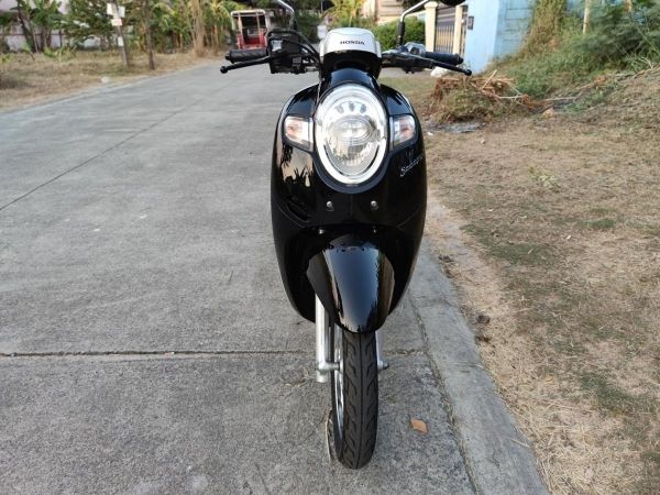 เก็บปลายทาง  Honda scoopy i สด-ผ่อน รูปที่ 4